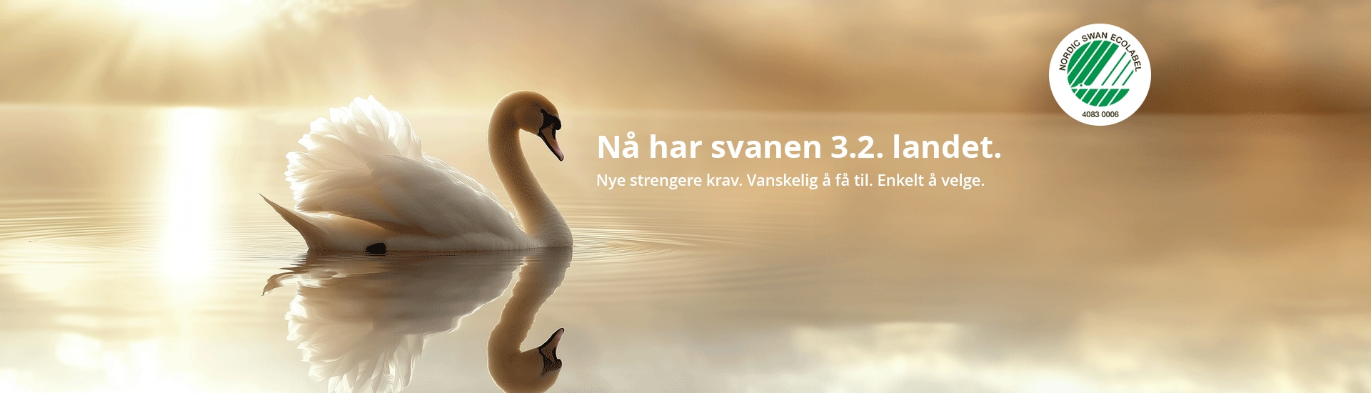 NO_Swan_Header-Desktop.png